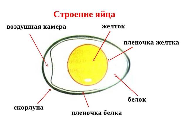 Picture background