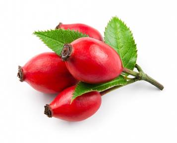 https://www.biotika.by/wp-content/uploads/2018/09/Rosa-Canina-Fruit-Extract.jpg