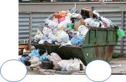 Сомнительная чистота: жители поселка Дружный просят вынести с улиц  общественные мусорки