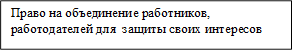 Право на объединение работников, работодателей для  защиты своих интересов