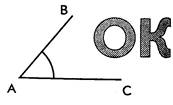 20210402_214705.jpg