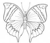 Женский форум LadyLi * Раскраски для детей