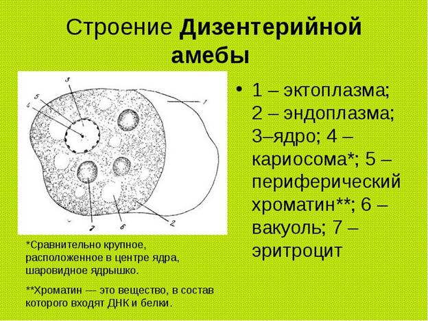 https://allyslide.com/thumbs/0555148950209e2c96ab24bcda4ed77b/img5.jpg