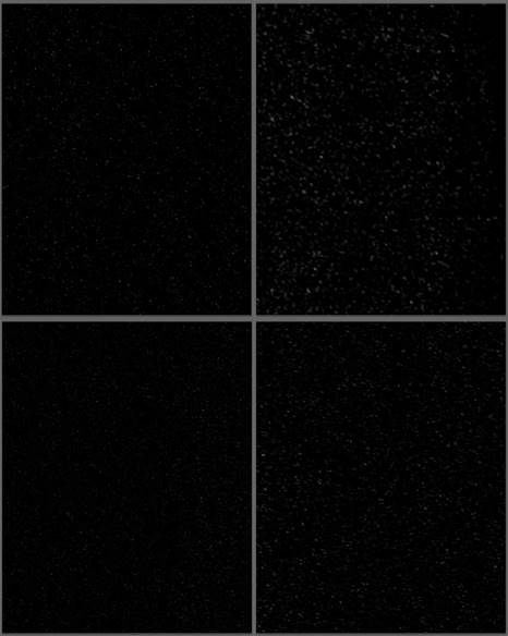 https://img.photoshop-master.ru/lessons/les6118/38.jpg