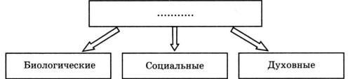 Впишите недостающее слово в схему обществознание 6 класс