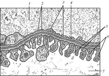 mb4_017