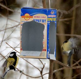 Как сделать кормушку для птиц из коробки