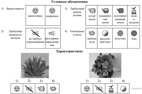 https://bio6-vpr.sdamgia.ru/get_file?id=60748