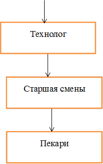 Технолог,Старшая смены,Пекари