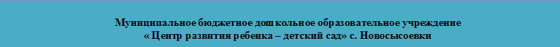 Муниципальное бюджетное дошкольное образовательное учреждение 
« Центр развития ребенка – детский сад» с. Новосысоевки

