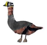 сканирование0037