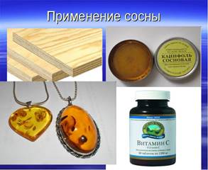 https://mypresentation.ru/documents/cbb05309c815ad8bd050ebd9b3ebead5/img8.jpg