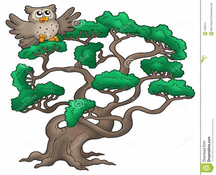 https://thumbs.dreamstime.com/z/big-pine-tree-cartoon-owl-13387914.jpg