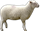 Картинки по запросу sheep png