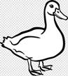 https://c7.hotpng.com/preview/973/66/350/duck-american-pekin-mallard-clip-art-duck.jpg