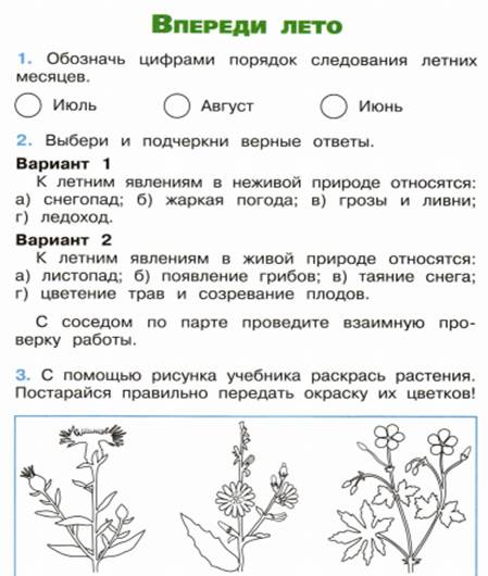 Тест впереди лето 2 класс окружающий мир презентация