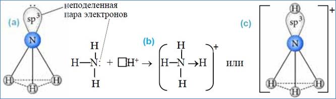 N2 nh3 t. Пространственное строение молекул nh3. Nh3 строение молекулы. Строение молекулы аммиака nh3.. Схема образования молекулы аммиака.