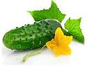 Related image