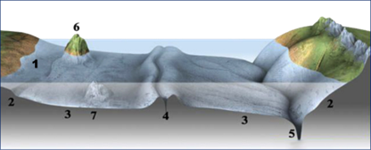 Строение дна 4.png