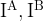 \rm I^A, I^B