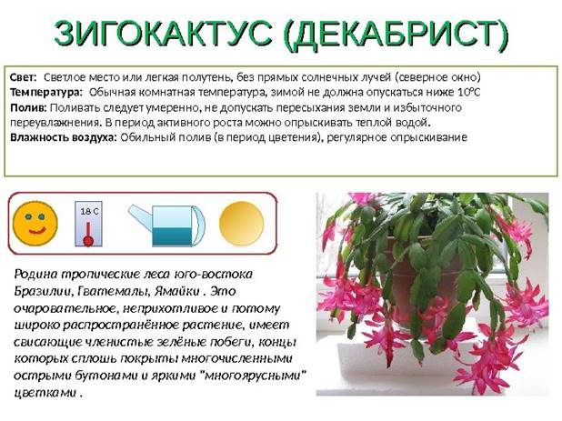 https://sdelai-lestnicu.ru/wp-content/uploads/c/c/7/cc7a183744f38d66023d4cd908ba9e92.jpg