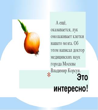 https://ds04.infourok.ru/uploads/ex/1169/001310b0-ddd33296/img2.jpg
