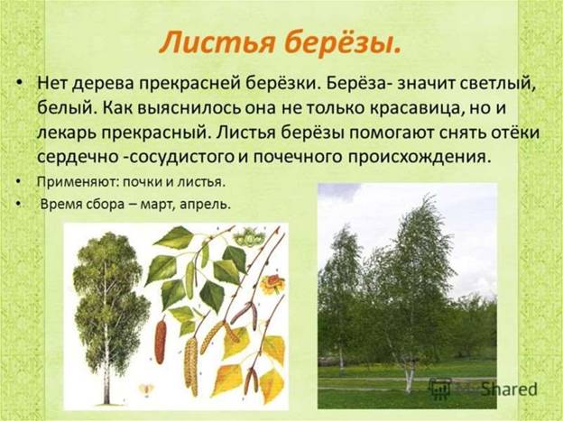 https://cf2.ppt-online.org/files2/slide/p/pElhRZ0CoPn3Ic4dUNWg7uKa6iHDAXFm18fOTw/slide-19.jpg