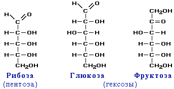 https://www.sites.google.com/site/himulacom/_/rsrc/1315460516430/zvonok-na-urok/10-klass---tretij-god-obucenia/urok-no45-glukoza-stroenie-molekuly-izomeria-fiziceskie-svojstva-i-nahozdenie-v-prirode/o511.gif