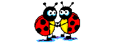 Картинка 14 из 37