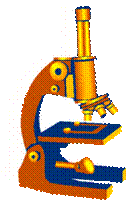 https://sites.google.com/a/1927.org.ru/naucno-metodiceskaa-rabota/_/rsrc/1257943661983/pedagogiceskie-tehnologii/issledovatelskaa-deaelnost/%D0%BC%D0%B8%D0%BA%D1%80%D0%BE%D1%81%D0%BA%D0%BE%D0%BF.gif?height=200&width=126