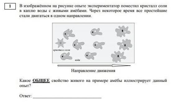 ОГЭ по биологии 2021