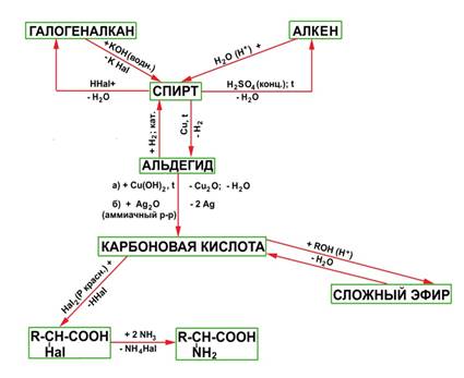 https://fsd.multiurok.ru/html/2024/09/17/s_66e962fa3b96e/phpTsPIHV_Instrukciya-k-PR-24-25_html_536038925a2250c1.jpg