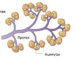 https://cf2.ppt-online.org/files2/slide/d/dILrXczMSKpYWs4U8Vhmx6DNnHwPiZO27lgFGu/slide-18.jpg