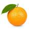 http://static9.depositphotos.com/1642482/1149/i/110/depositphotos_11490790-Oranges-fruit.jpg