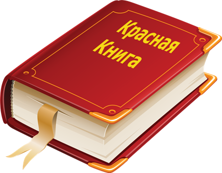http://alkhana.ru/templates/img/4245704-book.png