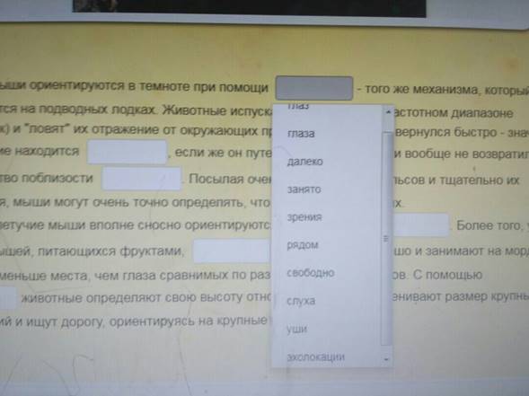 https://pp.userapi.com/c844721/v844721532/115cbb/upbvVDfEYOw.jpg