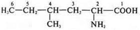 https://compendium.su/chemistry/11klas/11klas.files/image945.jpg