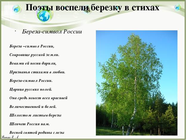 https://ds04.infourok.ru/uploads/ex/1026/0017f16d-e7e8b872/img14.jpg