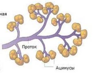 https://cf2.ppt-online.org/files2/slide/d/dILrXczMSKpYWs4U8Vhmx6DNnHwPiZO27lgFGu/slide-18.jpg