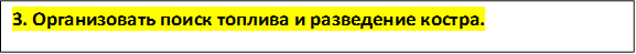 3. Организовать поиск топлива и разведение костра.