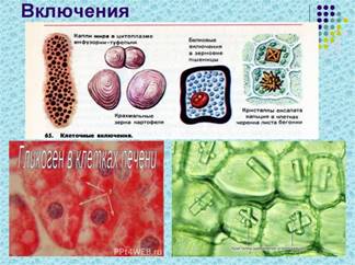 https://cf2.ppt-online.org/files2/slide/r/Rh6uclLX7IiOtMsorjyAFqxZkdT3pB9geH40Y8/slide-64.jpg