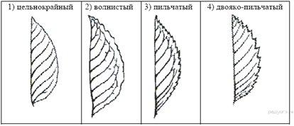 https://bio-oge.sdamgia.ru/get_file?id=370