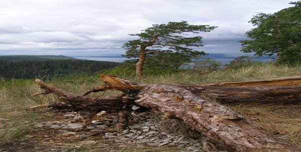 Ð“Ð¾Ñ€Ð° Ð¡Ñ‚Ñ€ÐµÐ»ÑŒÐ½Ð°Ñ