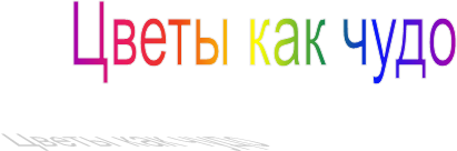 Цветы как чудо
   
