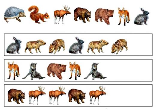 Задания на внимание и логику. Дикие животные | Дикие животные, Животные,  Дикие