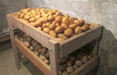 http://www.botanichka.ru/wp-content/uploads/2016/11/potatoes-storage-06.jpg