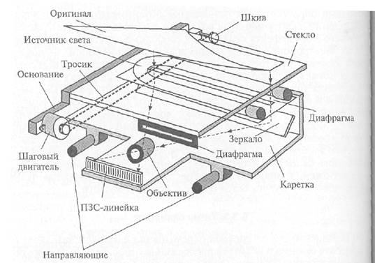 Разборка чистка и сборка планшетного сканера