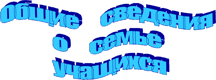 Общие     сведения 
о     семье 
учащихся