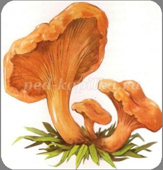 http://ped-kopilka.ru/upload/blogs/19069_e712620812c5851e0a7fbcbd75a93d0a.png.jpg