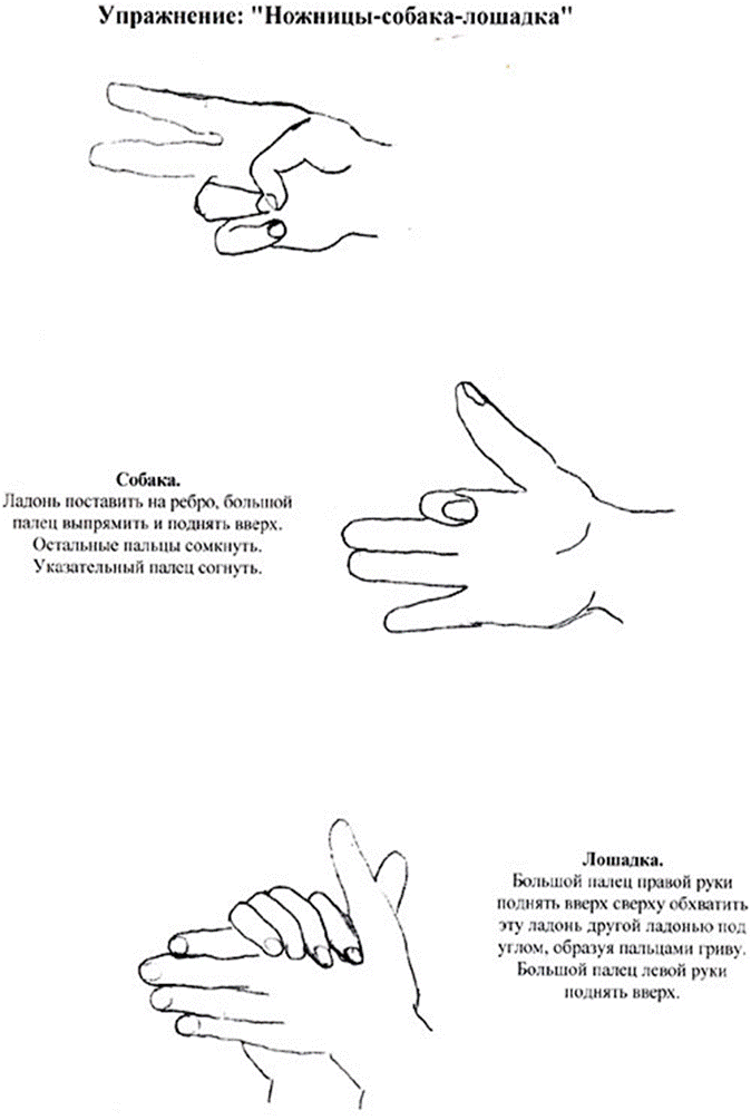 https://fsd.multiurok.ru/html/2019/04/09/s_5caca42603f96/1135545_13.png